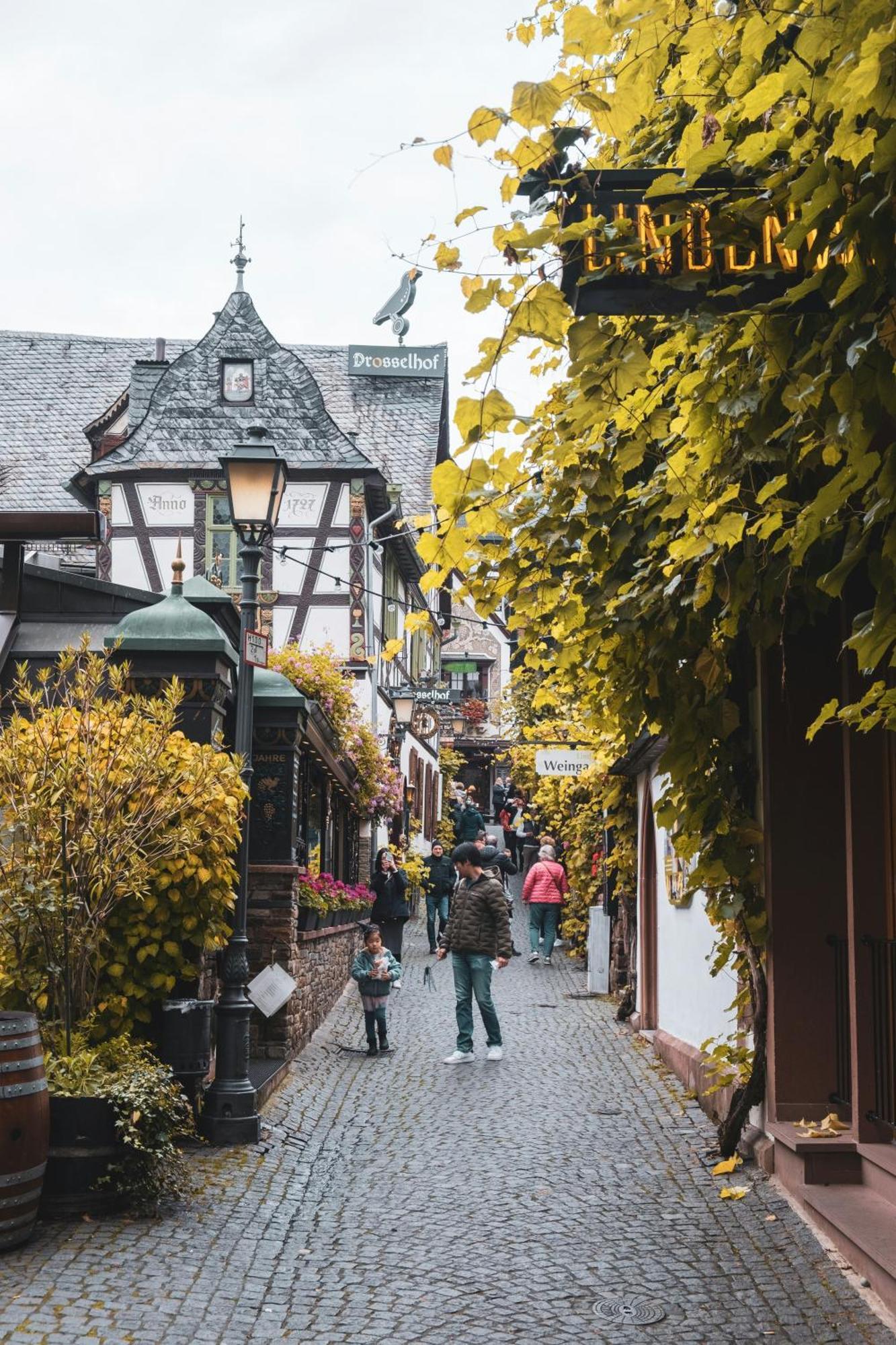 Hotel Zur Loreley - Garni ザンクト・ゴアー エクステリア 写真