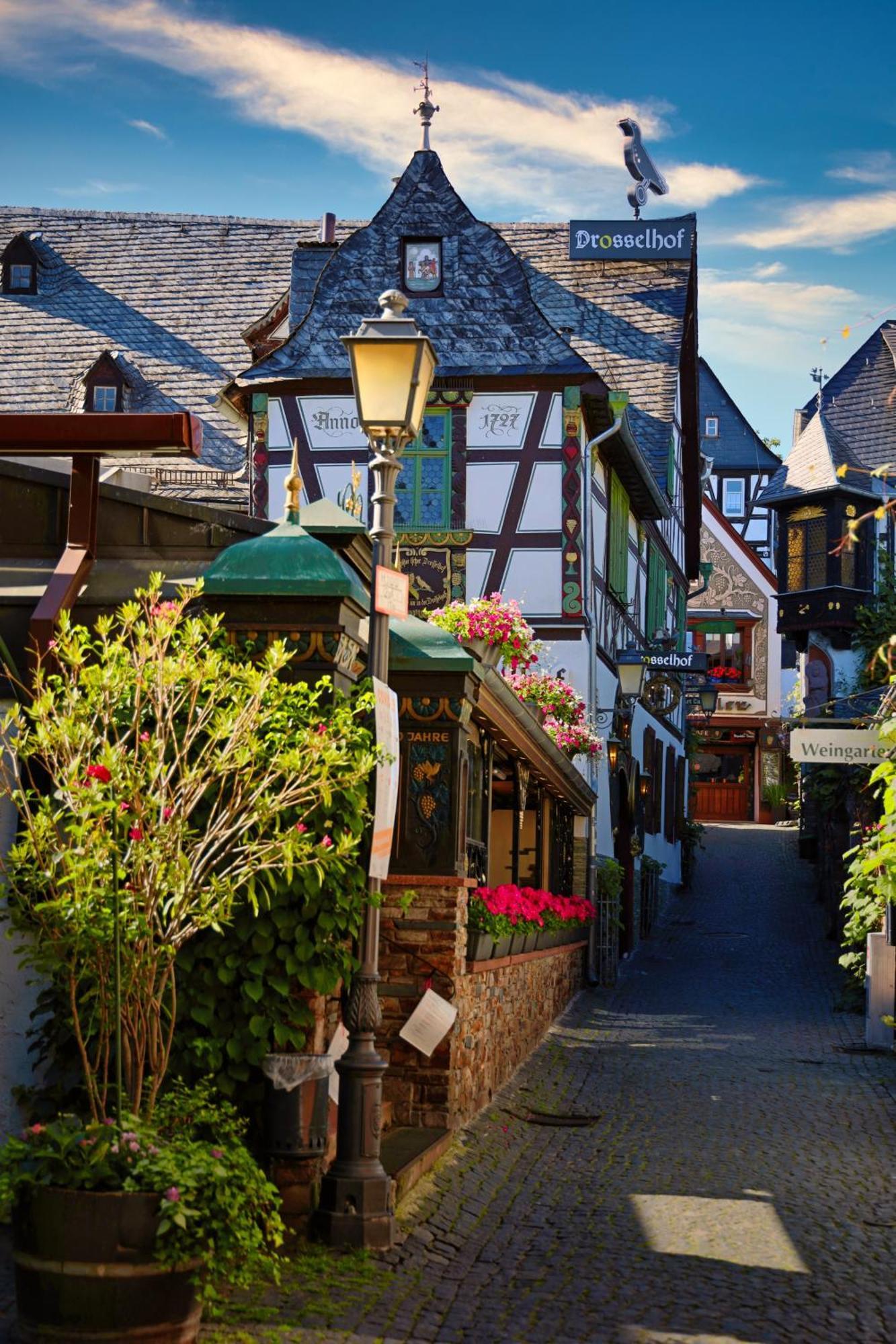 Hotel Zur Loreley - Garni ザンクト・ゴアー エクステリア 写真