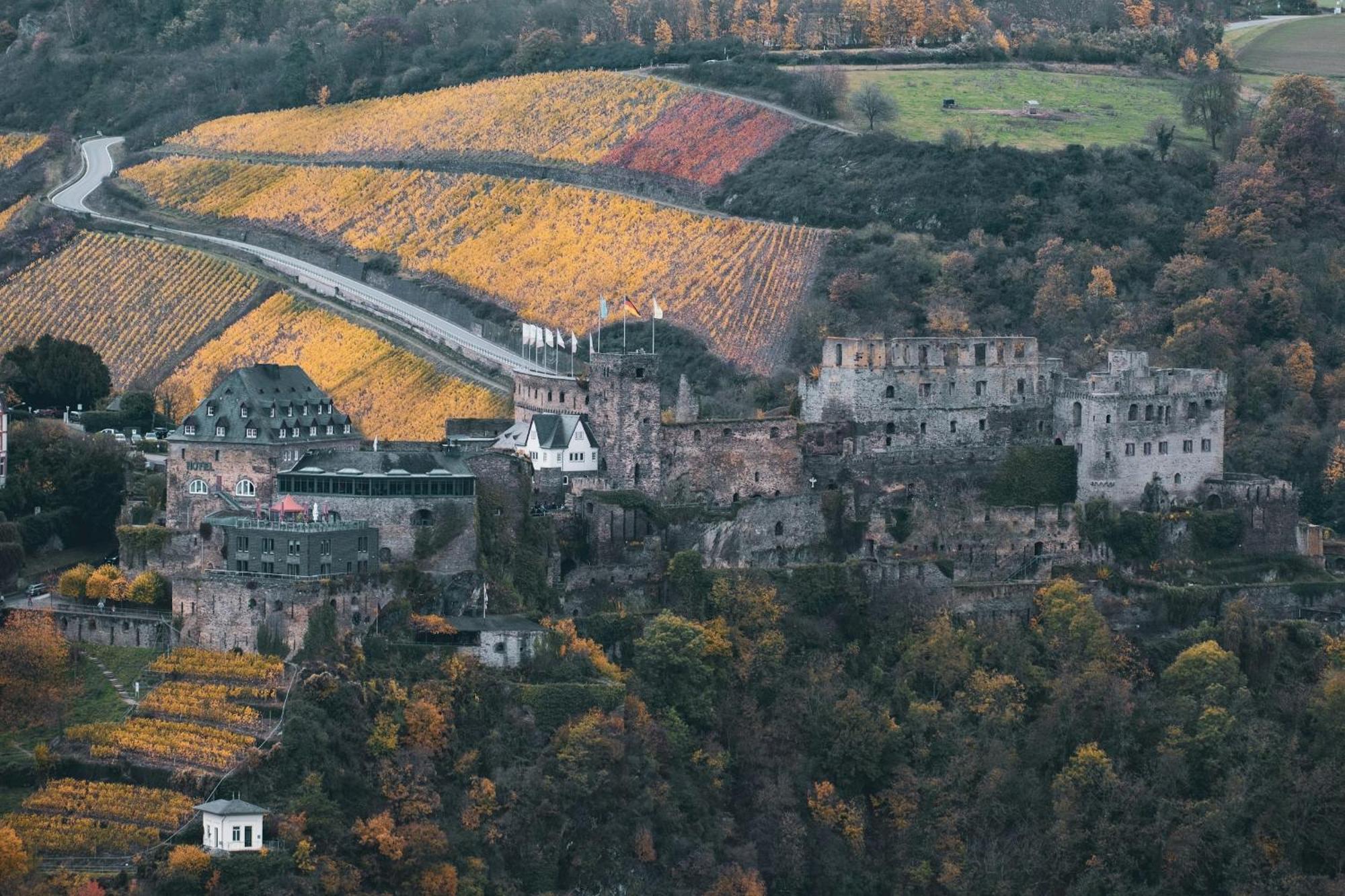 Hotel Zur Loreley - Garni ザンクト・ゴアー エクステリア 写真